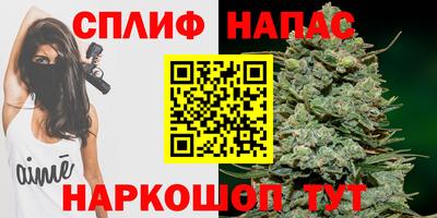 МДПВ Будённовск