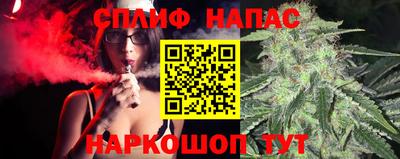МДПВ Будённовск