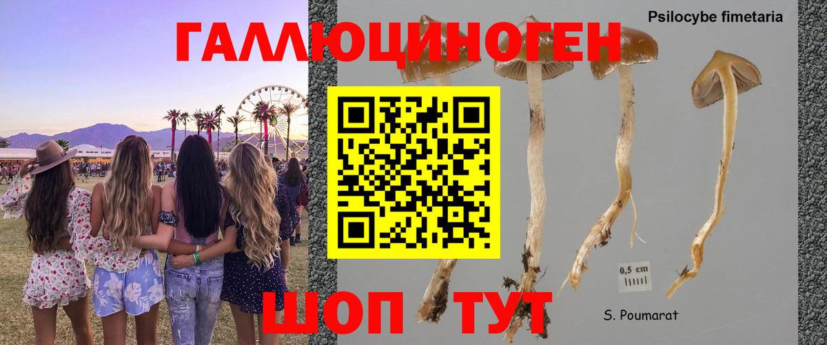 Красный Сулин  Галлюциногенные грибы мухоморы  Вход с VPN 